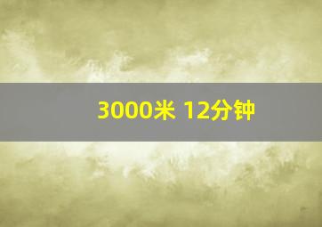 3000米 12分钟